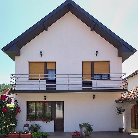 Villa Milica à Banja Koviljača Extérieur photo