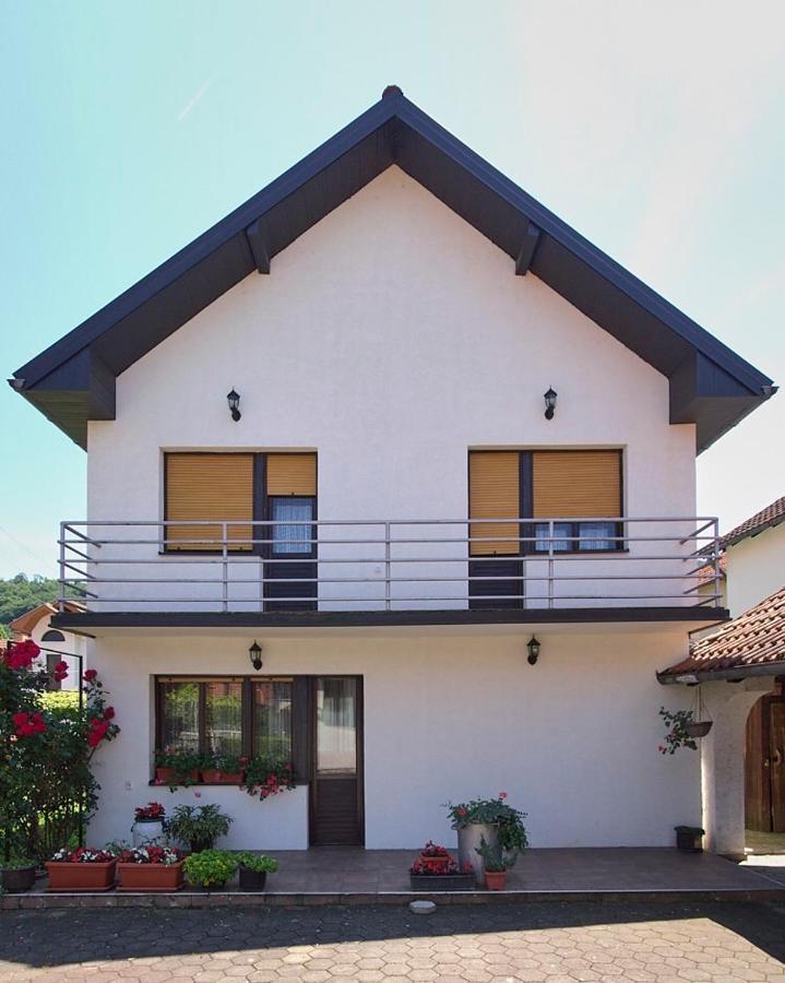 Villa Milica à Banja Koviljača Extérieur photo